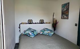 Appt Cosy Entier Avec Piscine